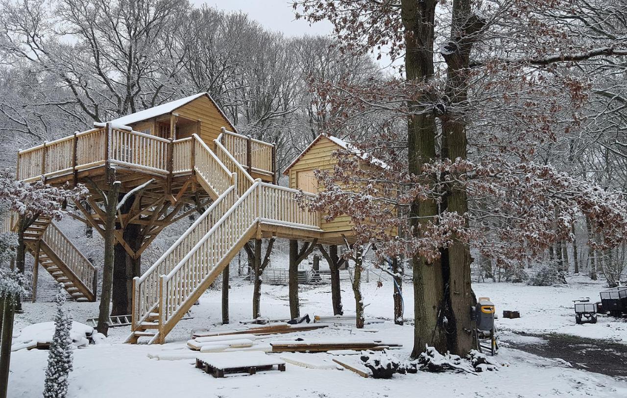 Oakside Tree Tops Canterbury Exterior foto